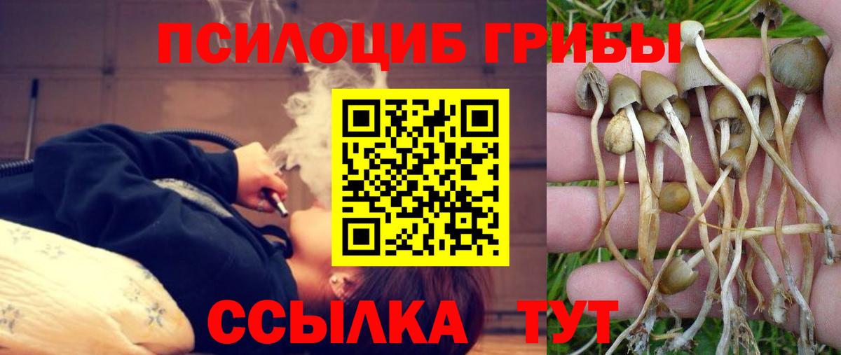 Галлюциногенные грибы ЛСД  Вход с VPN  Псилоцибиновые грибы мицелий  Верхняя Салда 